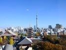 浅草の景色