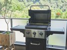 BBQ�K�X�O�����́A�v�����p�̃u���C���E�L���O