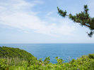 地平線まで真っ青な海は心を癒してくれること間違いなし!