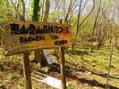【恵山登山森林浴コース】火山・海・温泉が揃う恵山エリアで、北海道の自然を丸ごと満喫!