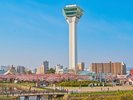【春の五稜郭タワー】お車約75分。約1,600本の桜が彩る春の絶景をお楽しみください!