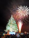 夜空を彩る大輪の花火ときらめくツリー。冬の港町で心あたたまる特別な夜をお過ごしいただけます。