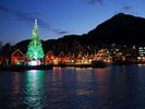 水面に揺れるツリーの光と幻想的な夜景。冬の函館ならではの心温まるひとときをお過ごしいただけます。
