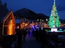 【はこだてクリスマスファンタジー】赤レンガ倉庫群と海上に浮かぶ巨大ツリーが彩る冬の風物詩。