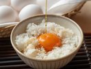 【朝食】秋田名産・横手市東海林養鶏「黄身の余韻」