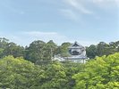 客室からの景色一例 金沢城公園がお出迎え