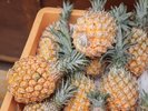 【新・牧志公設市場】