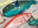 【新・牧志公設市場】