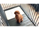 アメニティなど詳細につきましては、各お部屋ページのご案内をご覧下さい