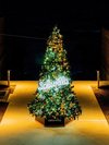 クリスマス時期のクリスマスツリー夜