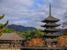 【当館から徒歩約15分】五重塔が有名で、世界遺産にも登録されている古「興福寺」