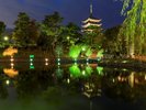 【当館から徒歩約15分】興福寺の五重塔を水面に映す風光明媚な池で、憩いの場となっている「猿沢池」