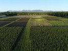 直営農場「東北牧場」での、無農薬・無化学肥料の野菜栽培