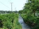 里山へ、ウォーキング(散歩)はいかが?美味しい空気を胸いっぱいに、ちょっとそこまで