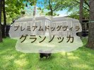 グランノッカ