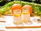 【初夏香(しょかこう)BREAKFASTフェア】オレンジのなめらかパンナコッタ