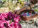 ���y�h���Ҍ���z�h���C�t�����[�̌�/���̂��������œE�񂾑��ԂŃh���C�t�����[�����̌��ł��B