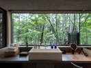 樹