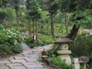 潮来市内「二本松寺」あじさいの杜
