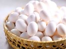 【朝食(日替わりメニュー)】ひたち農園の「奥久慈卵」