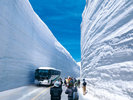 【立山黒部アルペンルート 雪の大谷】4月中旬〜6月中旬限定 高さ20mにも迫る巨大な雪の壁です