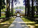 【上市町 眼目山立山寺 車で7分】県指定天然記念物の「とが(栂)並木」は山門前の参道にあります
