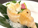 【通年 別注文 バイ貝 姿造り】コリコリっとした食感と独特の旨味を一番感じられる食べ方です