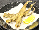 【11月から5月 別注文 げんげ 唐揚げ】某グルメ漫画にも取り上げられた逸品。フワっとした食感です