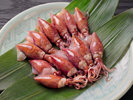 【3月から5月 別注文 浜茹でホタルイカ】プリっとした食感!シンプルで一番ポピュラーな食べ方です