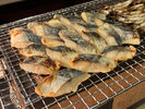 【朝食バイキング一例 七輪焼き 鰆】淡白でふっくらとした身の旨味をシンプルに味わう定番です