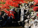 *周辺/庭園内の小さな滝も紅葉に彩られる秋