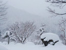 *周辺/真っ白な雪景色に包まれる周辺の風景