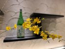 【2024〜2025冬】秋田の冬を表現しています。日本酒の瓶もディスプレイしています。