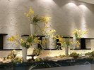 【2025春】黄色いお花畑。明るいロビーでごゆっくりお過ごしください。