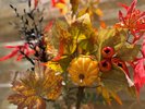 【2025ハロウィーン】かわいいカボチャ達が皆さまをお迎えします。