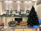 【2025クリスマス】大きなクリスマスツリーが皆さまをお迎えします。
