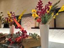 【2025〜26冬】赤と黄色の植物。