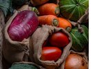 【朝食・野菜のグリル】旬の野菜をご用意