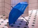 【無料貸出物】傘