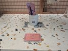 フロントにて、お部屋にも備え付きのアメニティーを販売しております。
