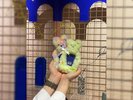 【日替わりワークショップ・16時〜17時】トレカケース(要予約)