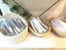 歯ブラシ、ヘアブラシ、カミソリ