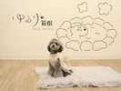 【フォトスタジオ】わんちゃんとの思い出作りにご利用ください