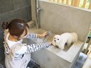 【足洗い場】エントランス横にはわんちゃん用足洗い場をご用意しております