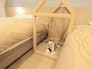 【客室】全客室わんちゃん用のベッドをご用意しております