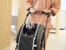 【レストラン】ドッグカートのご用意もございます