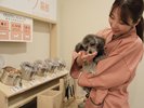 【おやつワゴン】わんちゃんのお気に入りの場所になること間違いなしのコーナーをご用意しております