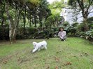 【コミュニティガーデン】天気のいい日はお外でお散歩を