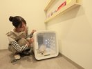 【ドライルーム】獣医師との共同開発を経て誕生したペット専用のドライルームがございます