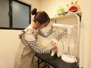 【ドライルーム】入るのが苦手な子用にドライヤーのご用意もございます
